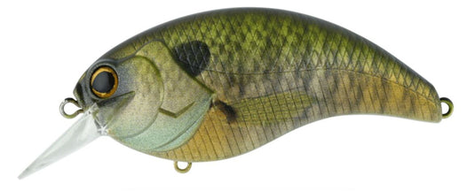 Deps Evoke 4.0