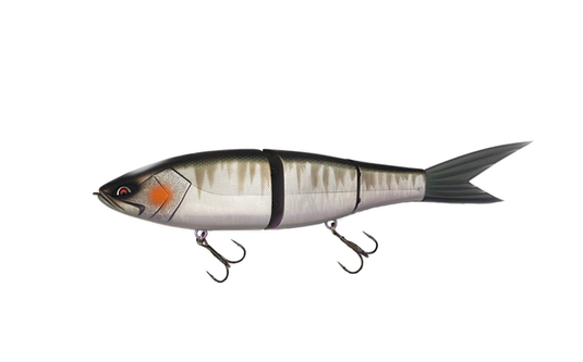 Galapagos Grace 280F