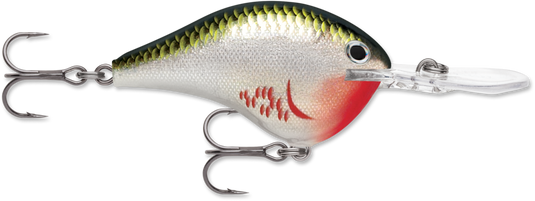 Rapala Dives-To 10 Series DT10