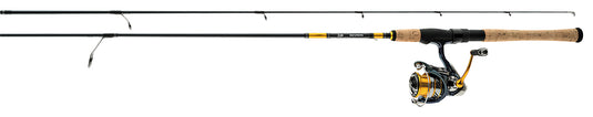 Daiwa Revros LT Spinning Combo