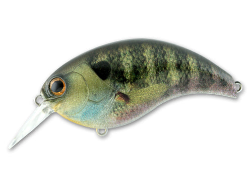 Deps Evoke 3.0