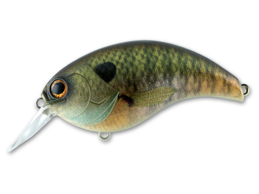 Deps Evoke 3.0