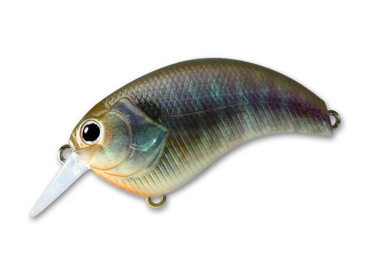Deps Evoke 2.0