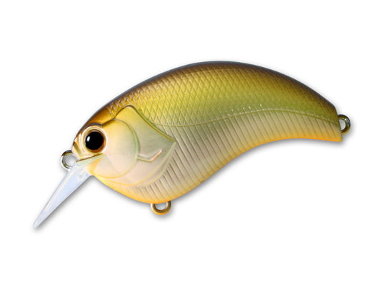 Deps Evoke 2.0
