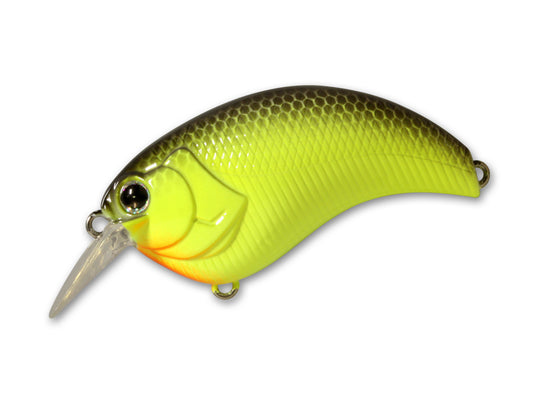 Deps Evoke 2.0