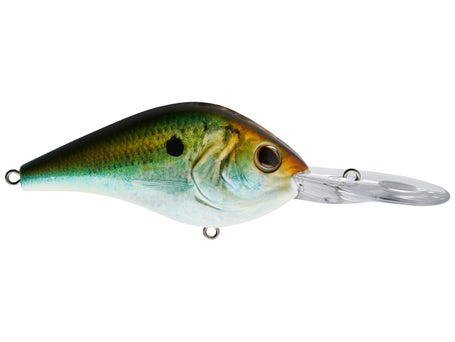 Berkley Dredger Crankbaits