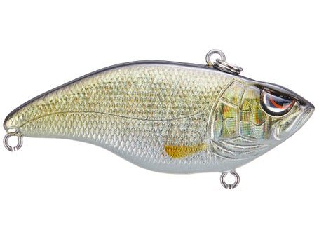 SPRO Aruku Shad 65