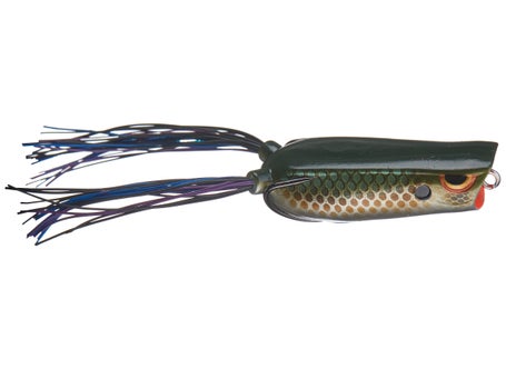 Spro Dean Rojas Bronzeye Poppin Frog 60