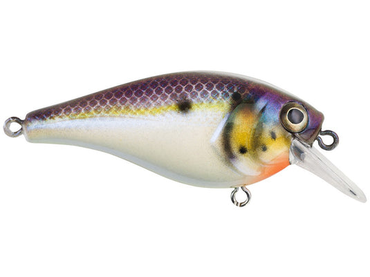 Berkley Squarebull Crankbait