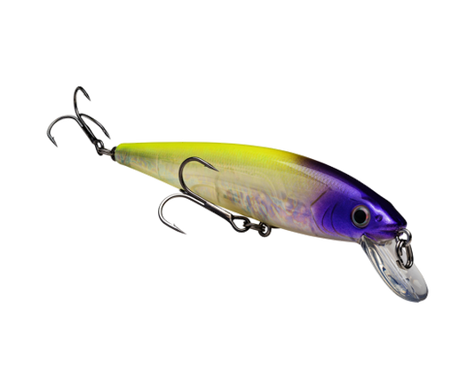 Strike King KVD Jerkbait 200 2 Hook