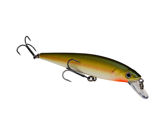 Strike King KVD Jerkbait 200 2 Hook