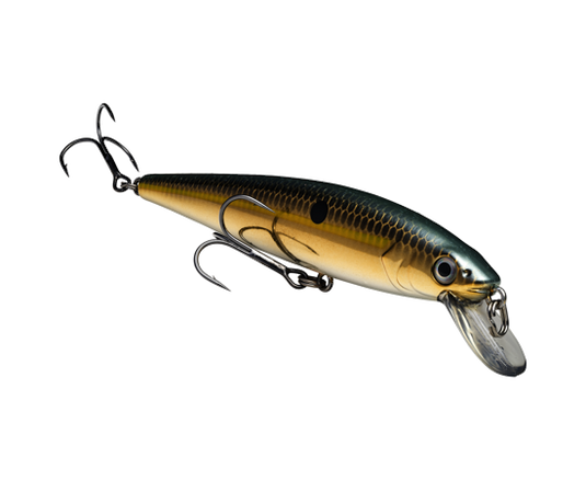 Strike King KVD Jerkbait 200 2 Hook