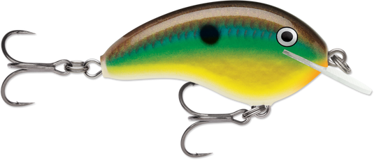 Rapala Ott's Garage Tiny 04