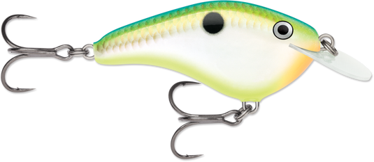 Rapala Ott's Garage Slim 06