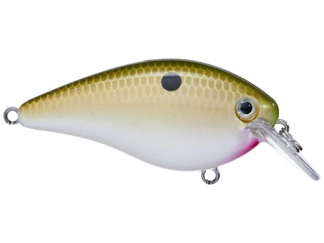 Strike King KVD 1.5 Hard Knock Crankbait