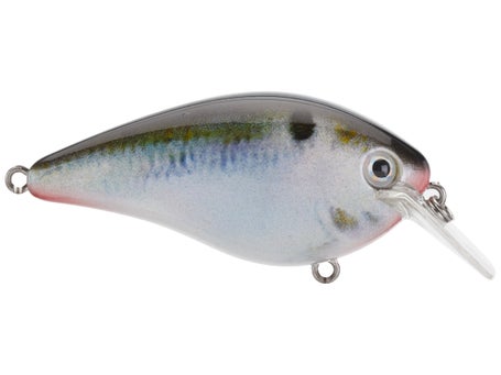 Strike King KVD 1.5 Hard Knock Crankbait