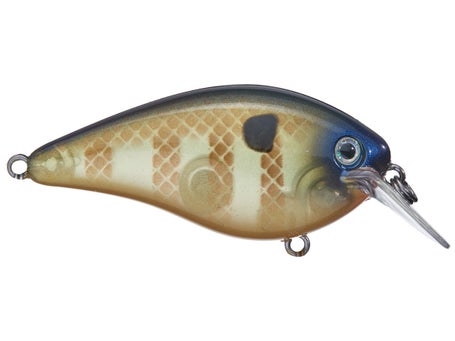 Strike King KVD 1.5 Hard Knock Crankbait