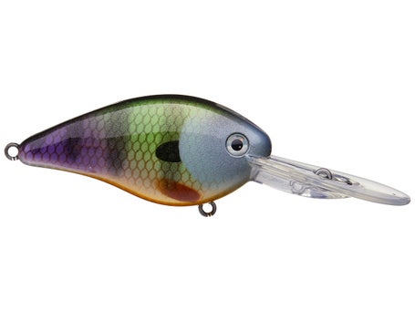 Strike King KVD 1.5 Flat Side Crankbait