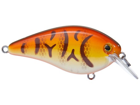 Strike King KVD 1.5 Hard Knock Crankbait