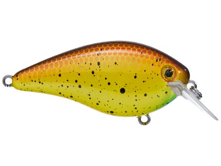 Strike King KVD 1.5 Hard Knock Crankbait