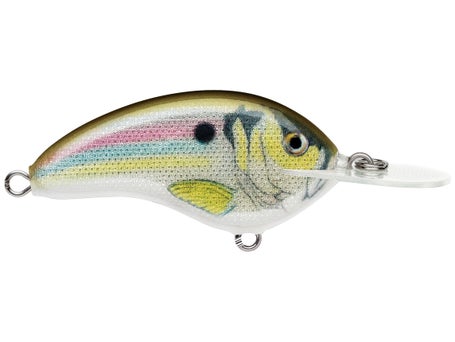 Rapala Ott's Garage Deep Tiny 07