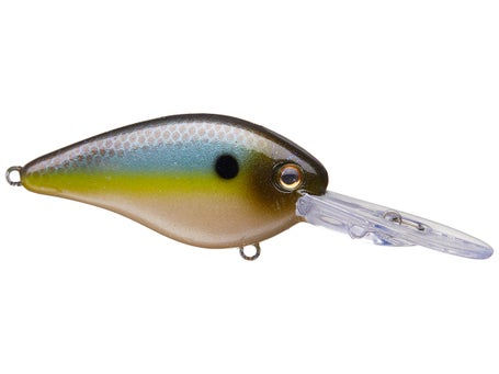 Strike King KVD 1.5 Flat Side Crankbait