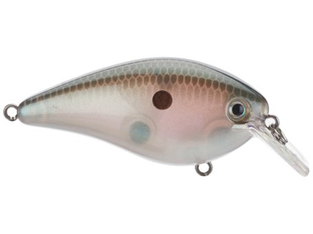 Strike King KVD 1.5 Hard Knock Crankbait