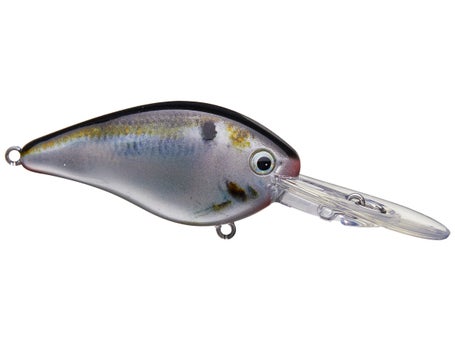 Strike King KVD 1.5 Flat Side Crankbait