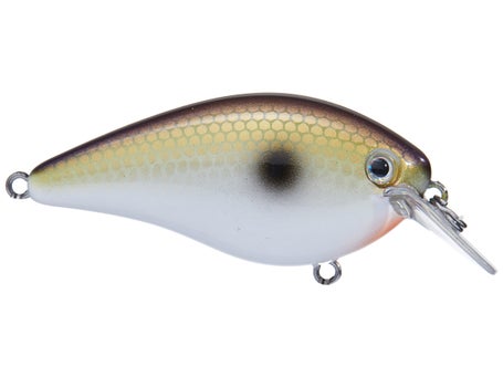 Strike King KVD 1.5 Hard Knock Crankbait