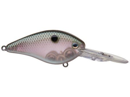 Strike King KVD 1.5 Flat Side Crankbait