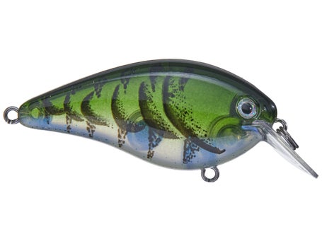 Strike King KVD 1.5 Hard Knock Crankbait